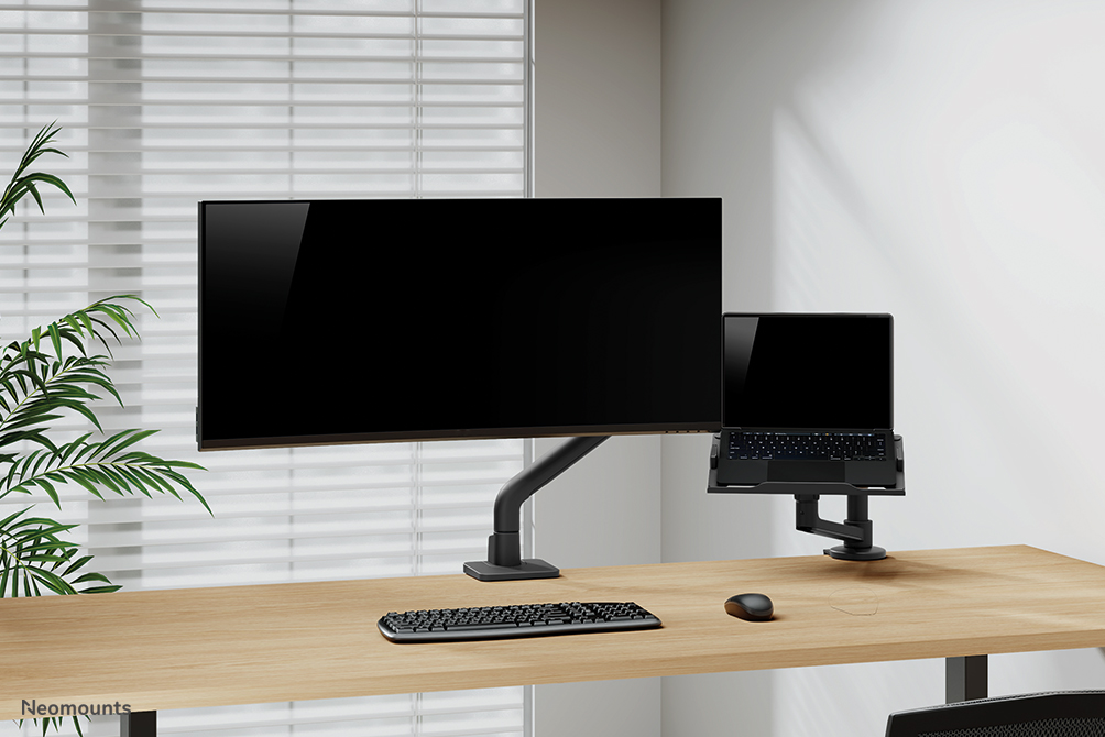 Neomounts DS20-425BL1 Support d'ordinateur portable à fixer 11.6-17.3" - économie d'espace